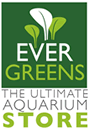 EverGreen Logo