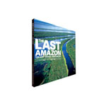 ADA The Last Amazon